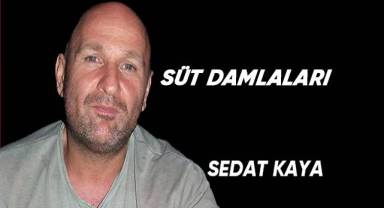 Süt Damlaları