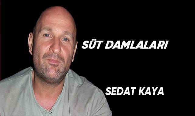Süt Damlaları