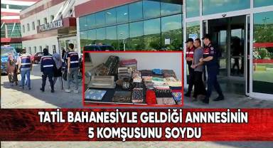 Tatil bahanesiyle geldiği annesinin 5 komşusunu soydu