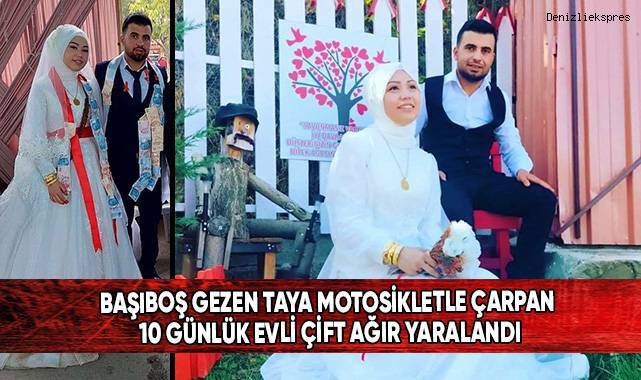 Başıboş gezen taya motosikletle çarpan 10 günlük evli çift ağır yaralandı