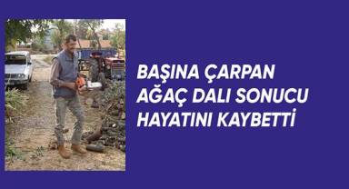 Başına çarpan ağaç sonucu hayatını kaybetti