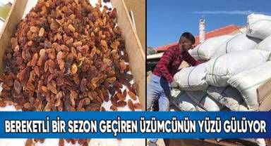 Bereketli bir sezon geçiren üzümcünün yüzü gülüyor
