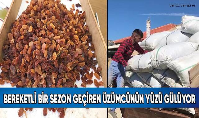 Bereketli bir sezon geçiren üzümcünün yüzü gülüyor
