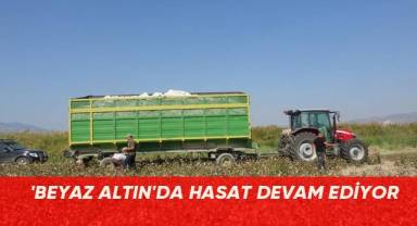 'BEYAZ ALTIN'DA HASAT DEVAM EDİYOR