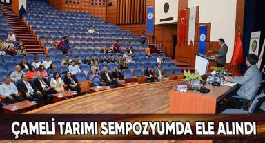 Çameli tarımı sempozyumda ele alındı