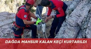 Dağda mahsur kalan keçi kurtarıldı