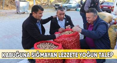 Hasat edilen cevizler tezgahlara düşmeye başladı