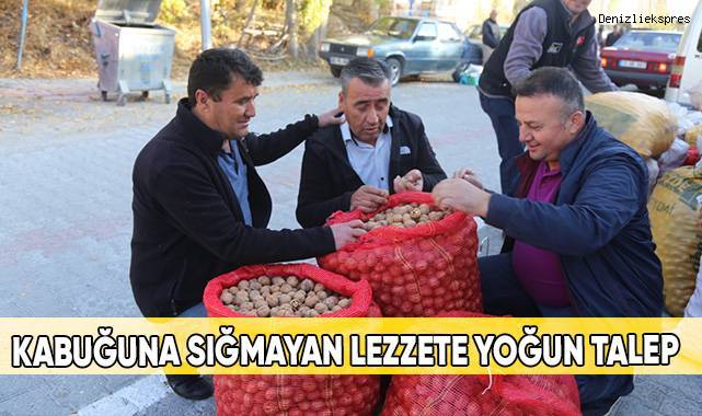 Hasat edilen cevizler tezgahlara düşmeye başladı
