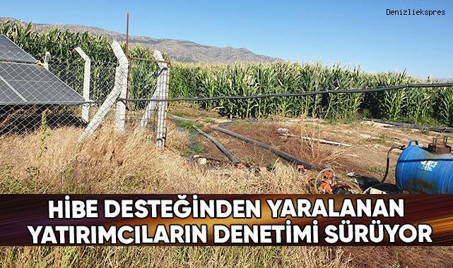 Hibe desteğinden yaralanan yatırımcıların denetimi sürüyor