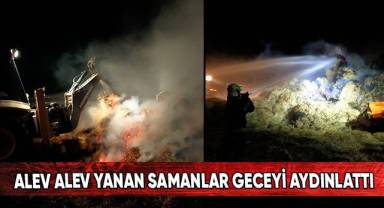 Samanlıkta çıkan yangında yaklaşık 20 ton balya kullanılamaz hale geldi.