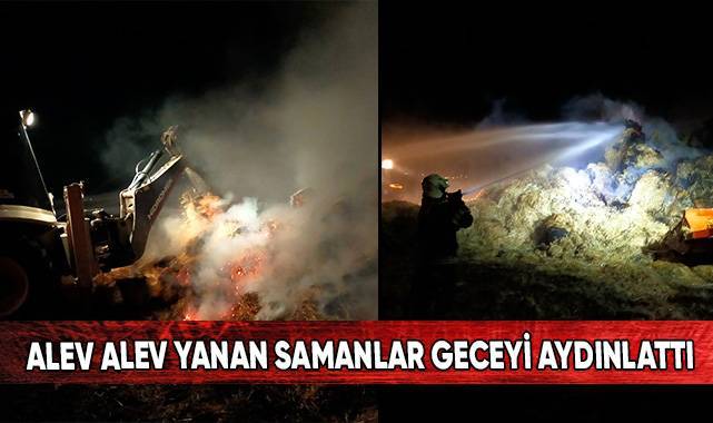 Samanlıkta çıkan yangında yaklaşık 20 ton balya kullanılamaz hale geldi.