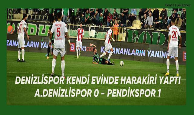 Spor Toto 1. Lig: Denizlispor: 0 - Pendikspor: 1