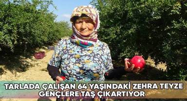 Tarlada çalışan 64 yaşındaki Zehra Teyze, gençlere taş çıkartıyor