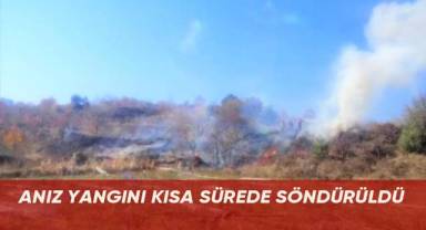 Anız yangını ormana sıçramadan söndürüldü