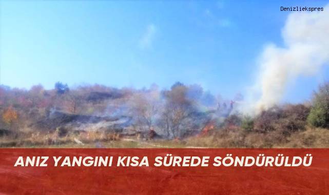 Anız yangını ormana sıçramadan söndürüldü