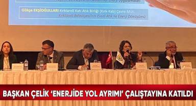 Başkan Çelik ‘Enerjide Yol Ayrımı’ Çalıştayına Katıldı