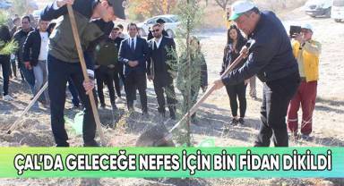 Çal’da geleceğe nefes için bin fidan dikildi