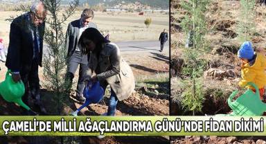 Çameli'de Milli Ağaçlandırma Günü Fidan Dikimi