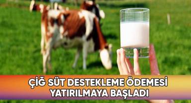 Çiğ süt destekleme ödemesi yatırılmaya başladı