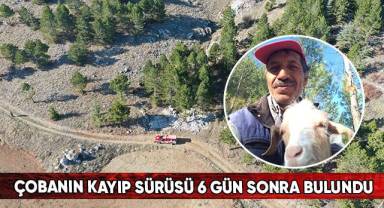 Çobanın kayıp sürüsü 6 gün sonra bulundu