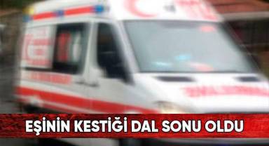 Eşinin kestiği dal sonu oldu