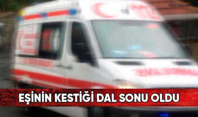 Eşinin kestiği dal sonu oldu