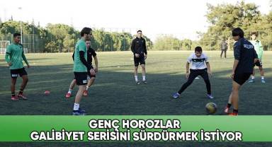Genç horozlar, galibiyet serisini sürdürmek istiyor
