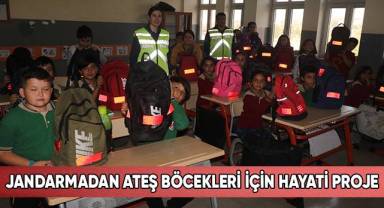 Jandarmadan ateş böcekleri için hayati proje
