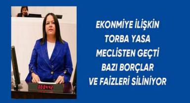 Nilgün Ök; Ekonomiye ilişkin torba yasa meclisten geçti