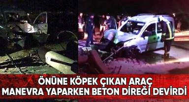 Önüne köpek çıkan araç manevra yaparken beton direği devirdi