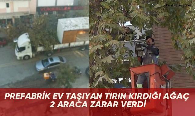Prefabrik ev taşıyan tırın kırdığı ağaç 2 araca zarar verdi