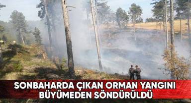 Sonbaharda çıkan orman yangını büyümeden söndürüldü
