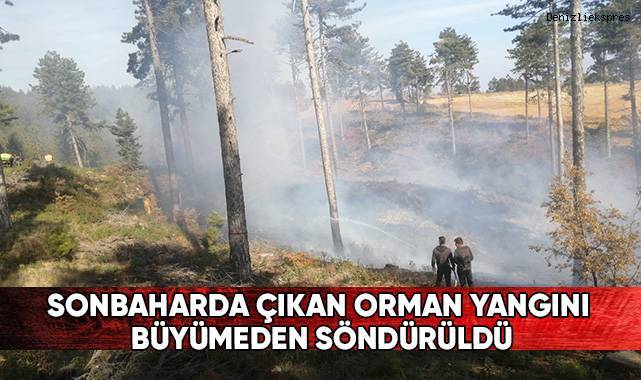 Sonbaharda çıkan orman yangını büyümeden söndürüldü