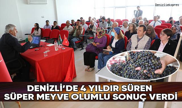 Süper meyve aronya üretimi Türkiye’de günden güne artıyor
