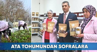 Ata Tohumundan Sofralara