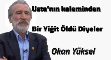 Bir Yiğit Öldü Diyeler
