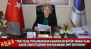 Bozkurt Belediye Başkanı Çelik’in yeni yıl mesajı