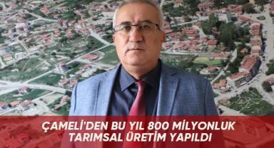 Çameli'den bu yıl 800 milyonluk tarımsal üretim yapıldı