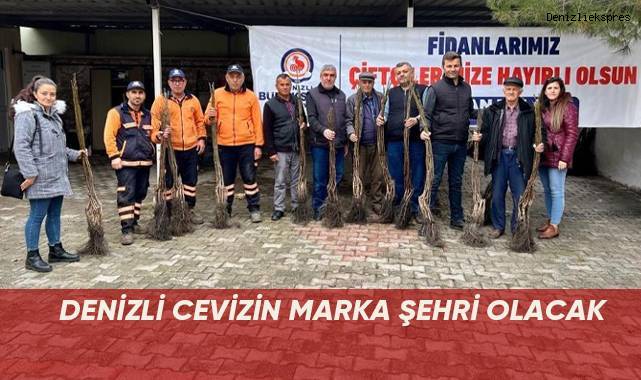 Denizli cevizin marka şehri olacak