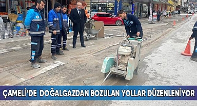 Çameli'de doğalgazdan bozulan yollar düzenleniyor