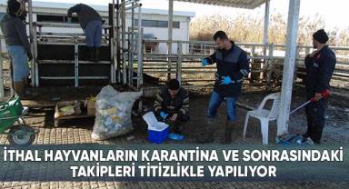 İthal hayvanların karantina ve sonrasındaki takipleri titizlikle yapılıyor