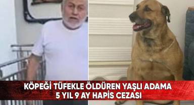 Köpeği tüfekle öldüren yaşlı adama 5 yıl 9 ay hapis cezası