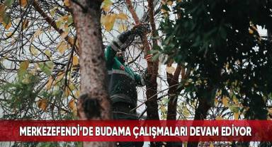 Merkezefendi’de Budama Çalışmaları Devam Ediyor