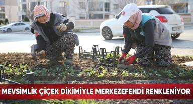 Mevsimlik Çiçek Dikimiyle Merkezefendi Renkleniyor