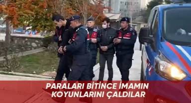 Paraları bitince imamın koyunlarını çaldılar