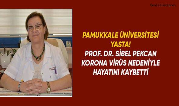 Prof Dr. Sibel Pekcan Koronavirüs nedeniyle hayatını kaybetti