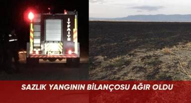 Sazlık yangının doğaya verdiği zararın bilançosu ağır oldu