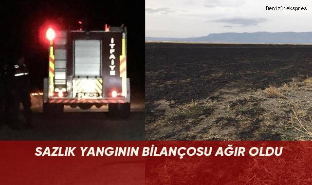 Sazlık yangının doğaya verdiği zararın bilançosu ağır oldu