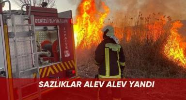 Sazlıklar alev alev yandı