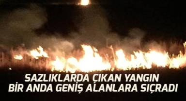 Sazlıklar alevlere teslim oldu